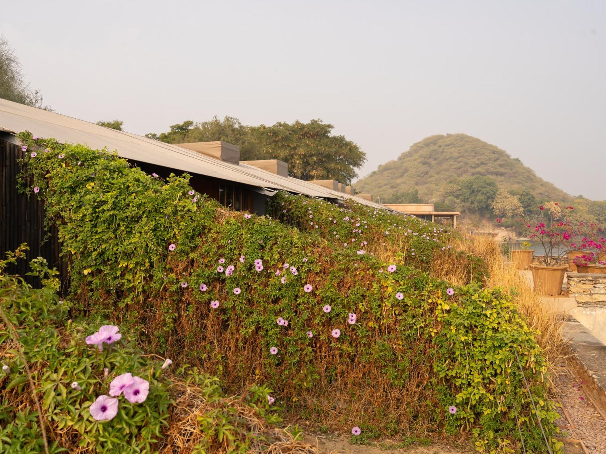 RAAS Chhatrasagar, Nimaj, District Pali Bagian luar foto