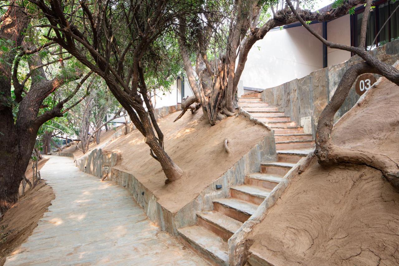 RAAS Chhatrasagar, Nimaj, District Pali Bagian luar foto